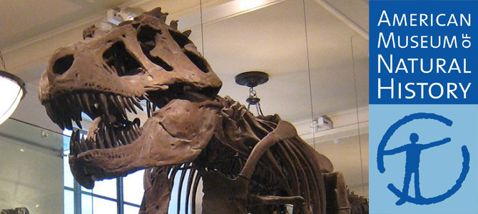 A day at the Museum A day at the Museum